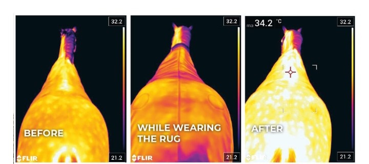 Deka Magnetic Rug Recuptex vel.130