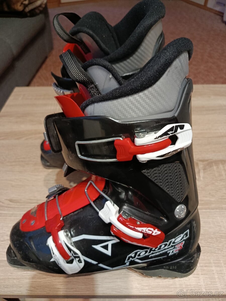 Lyžařské boty Nordica