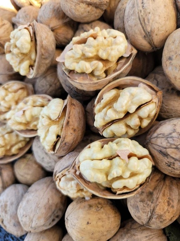 Vlašské ořechy neloupané