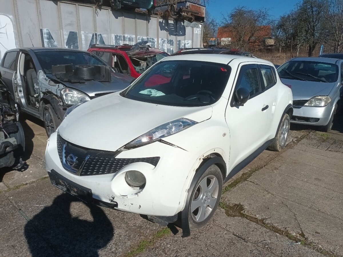 Juke 2013