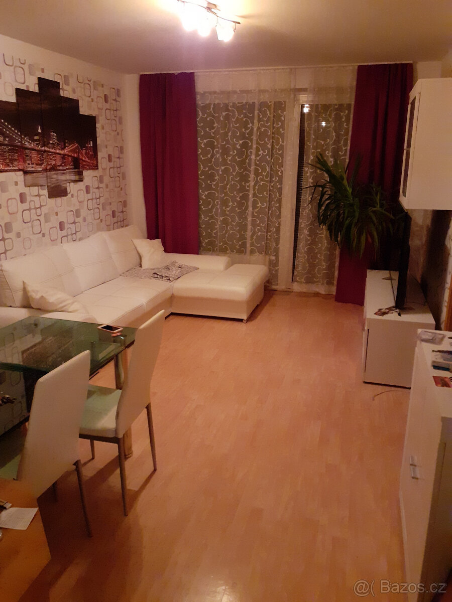Pronájem bytu 2,5+kk