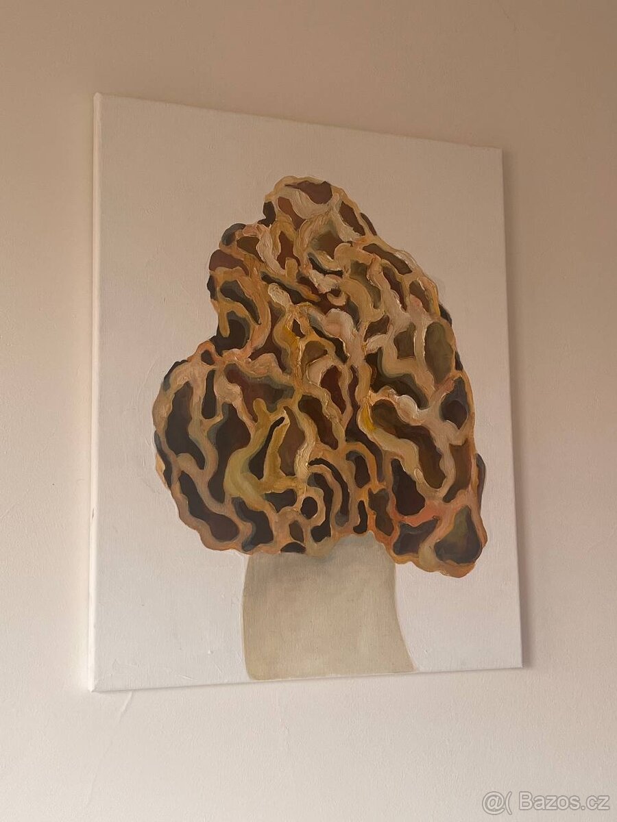 Obraz olejomalba na plátně houba, 50x40 cm