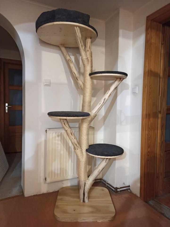 Kočičí strom / škrabadlo pro kočky / kočka