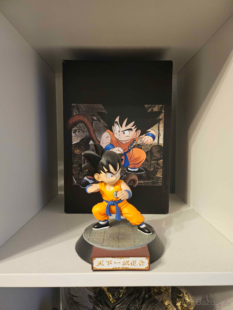 Dragon ball sochy