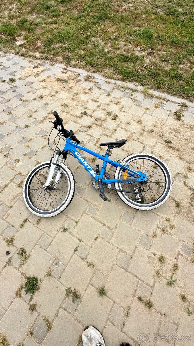 GIANT dětské horské kolo 20”