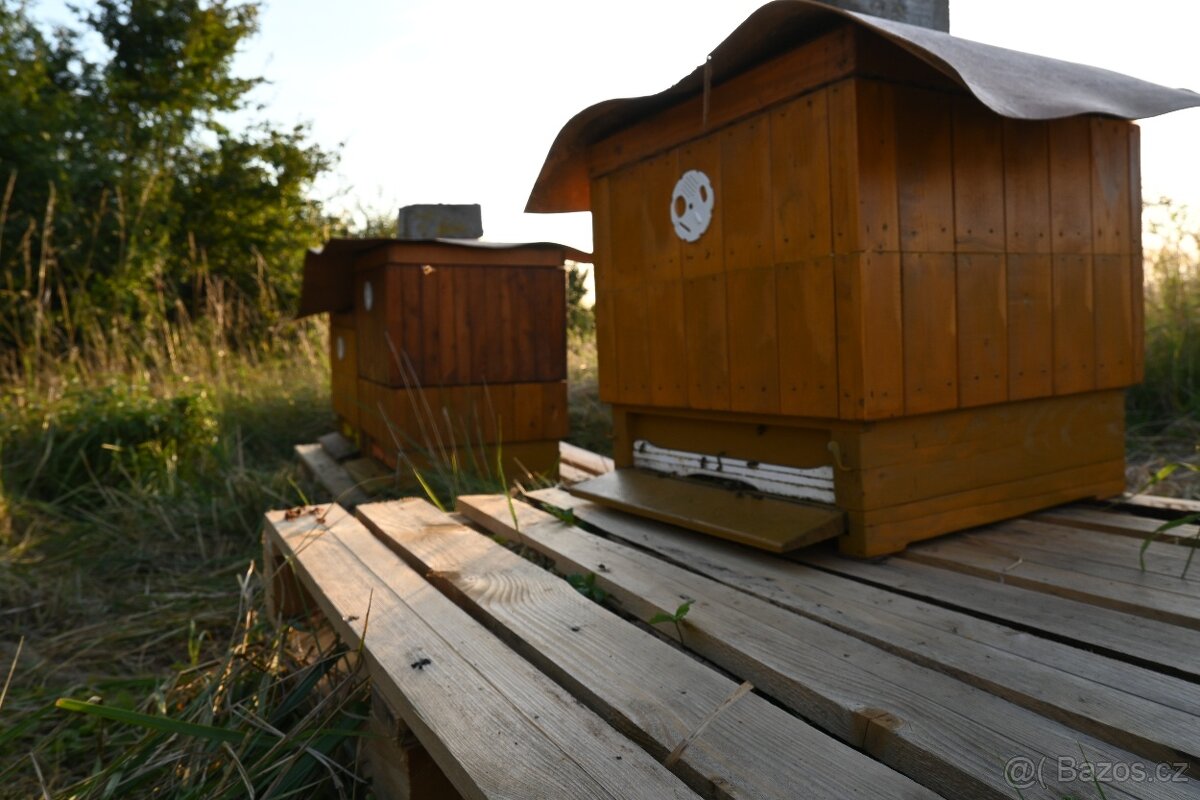 ÚL ČECHOSLOVÁK 37X30 - PRODÁM SADU