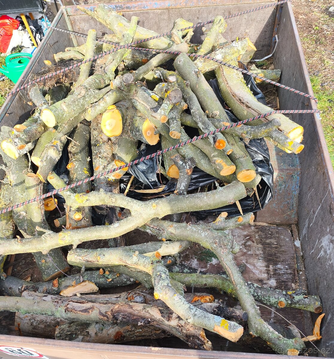 Jabloňové dřevo na uzení – čerstvě pořezané