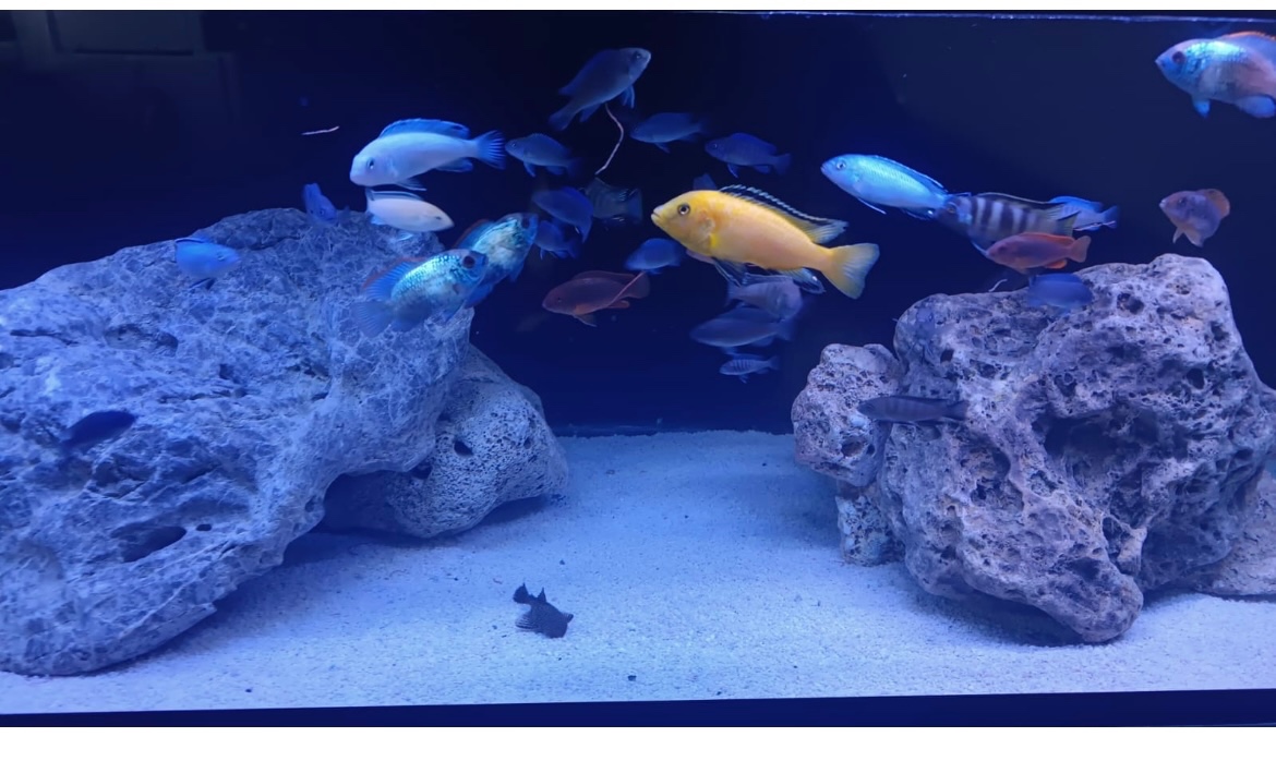Akvarium 120-40-50
