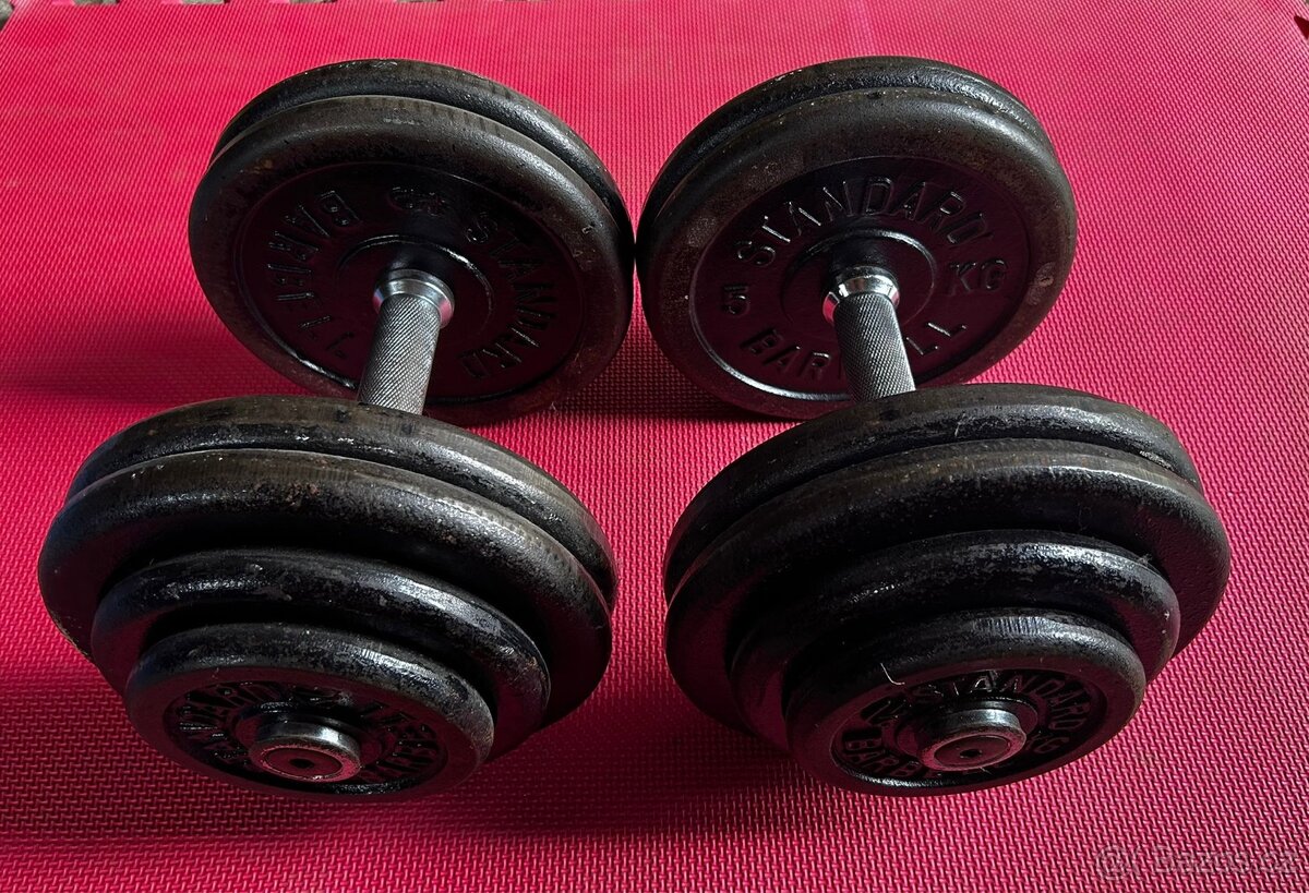 Profi činky 2x27,5kg