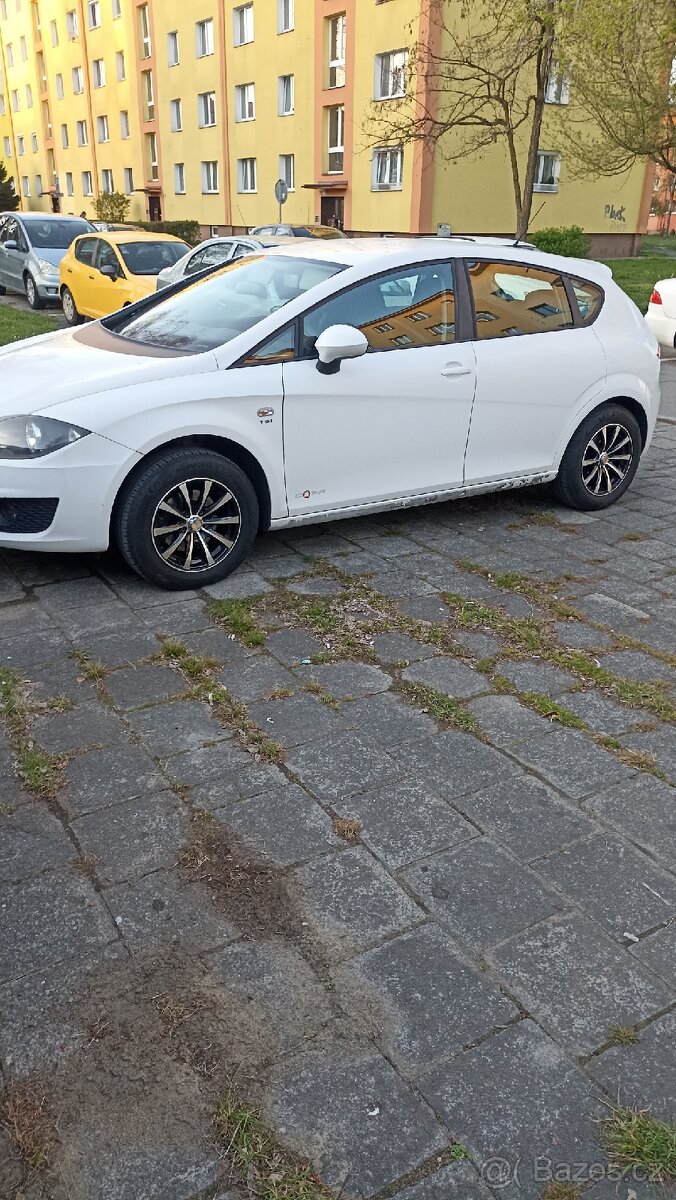 leonek