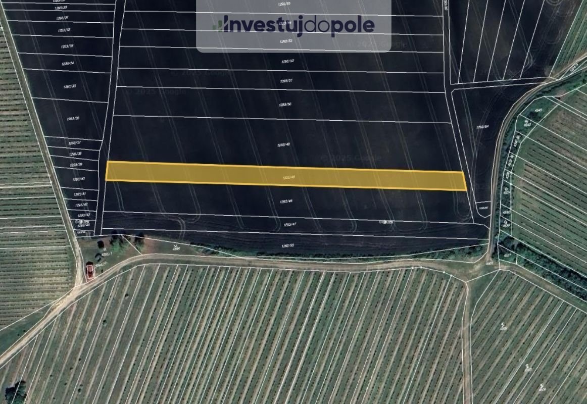 Prodej pole 2 804 m², Starovičky, ev.č. 2025-08-15-4