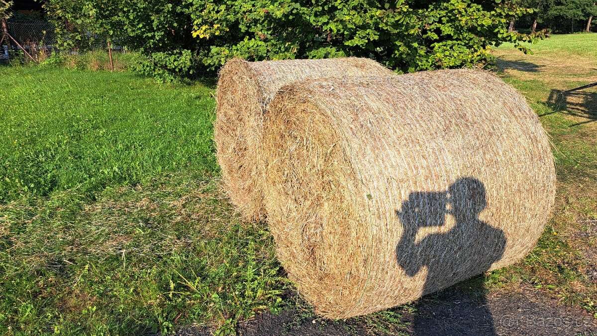 Prodám seno - kulaté balíky průměr 130 cm - 2. seč (otava)