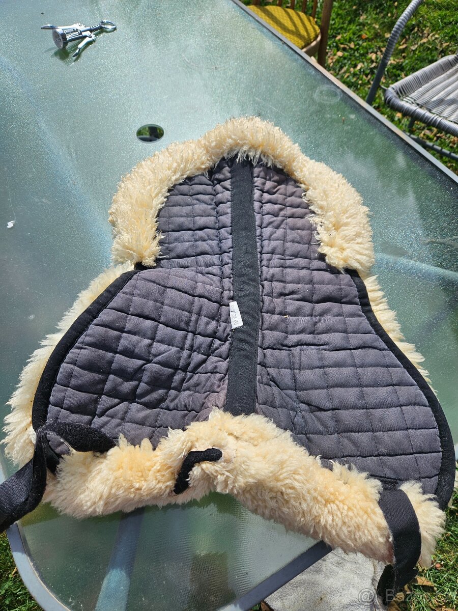 Beránek pod sedlo pony