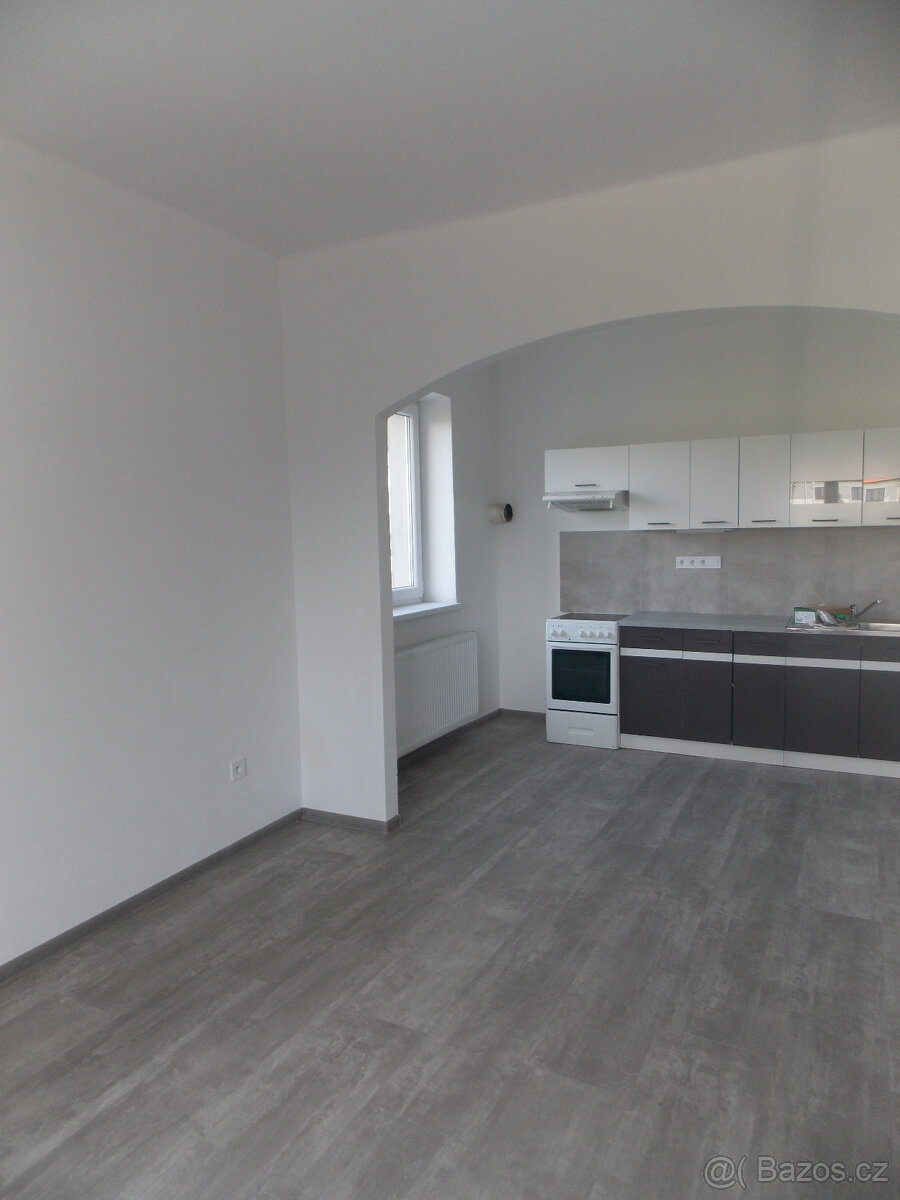 Pronájem 2+kk v Popkovicích se zahradou