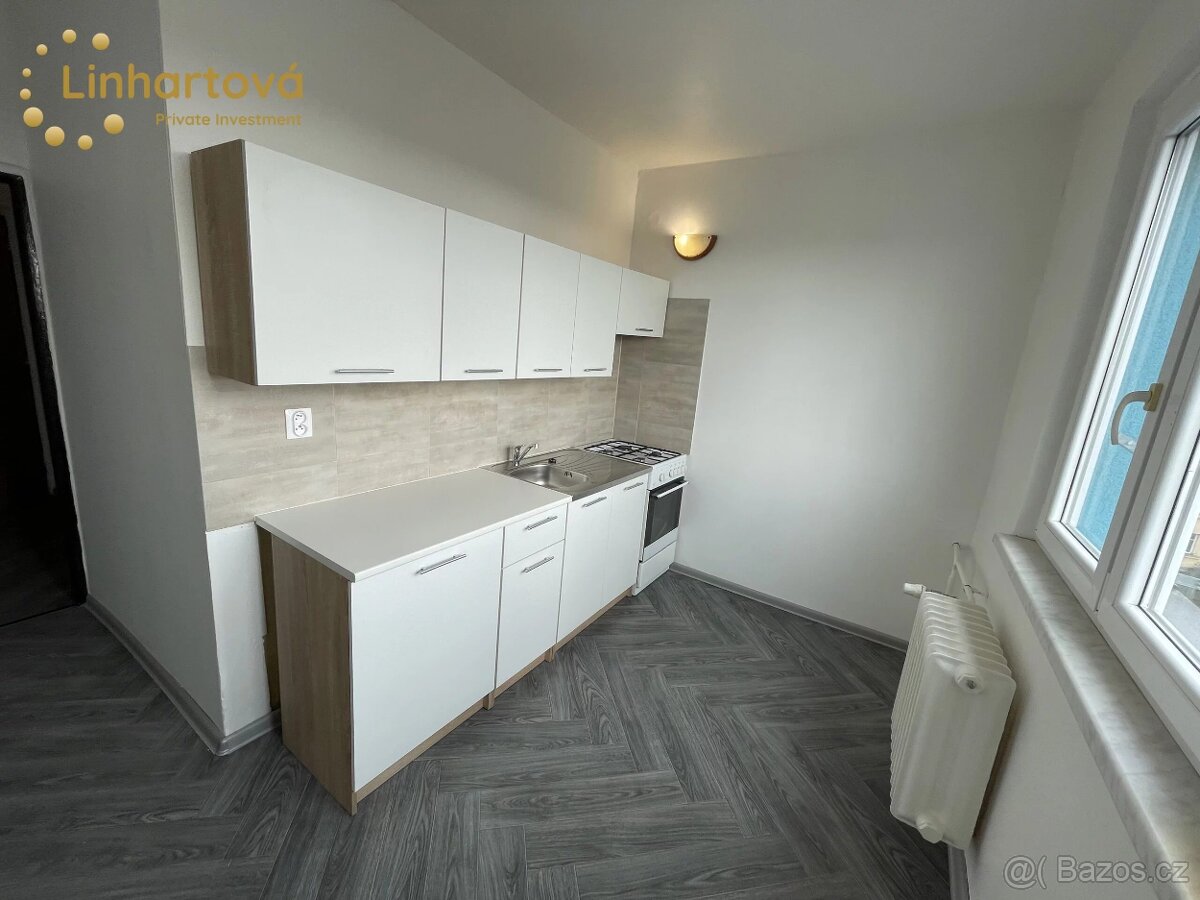Pronájem bytu 1+1 38 m² Tesařská, Aš