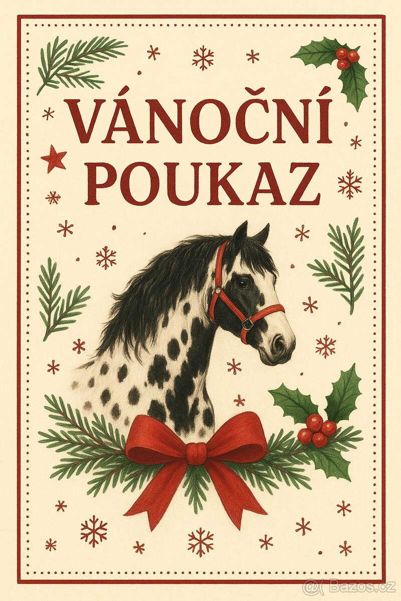 Vyjížďky na koních i ponících