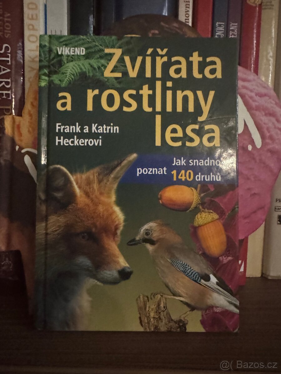 Zvířata a rostliny lesa