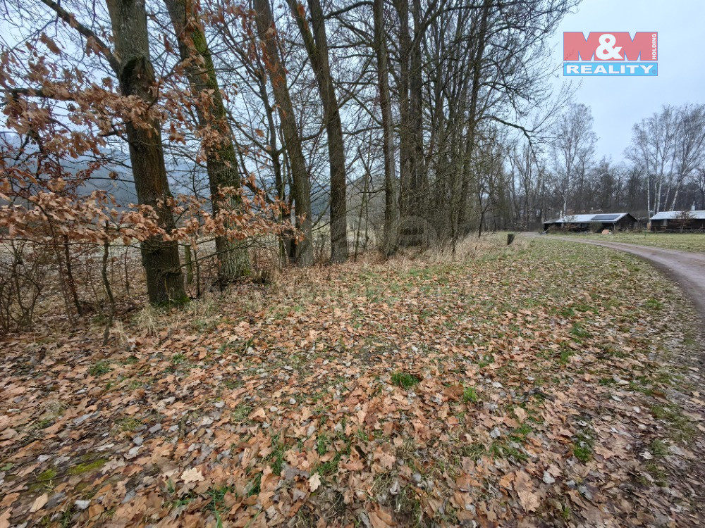 Prodej pozemku k rekreaci 487 m², Sopotnice