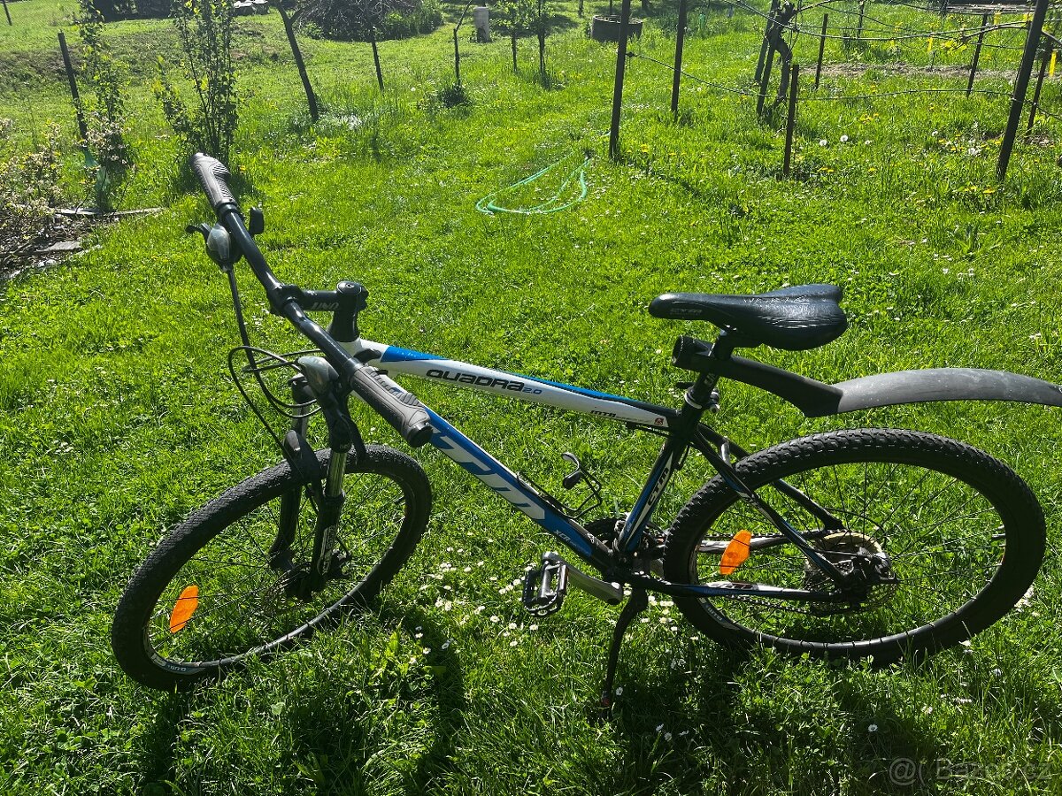 Kolo CTM 24”