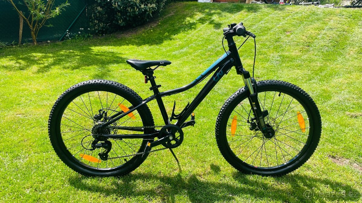 Nádherné dětské kolo GIANT LIV 24