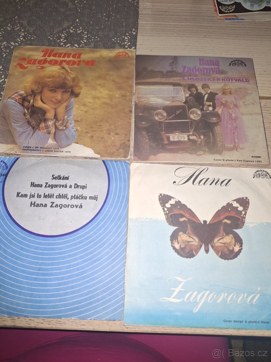 Desky Hana Zagorová