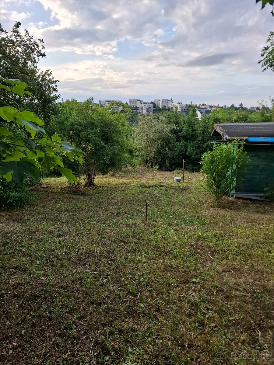 Zahrada / zahrádka v Praze