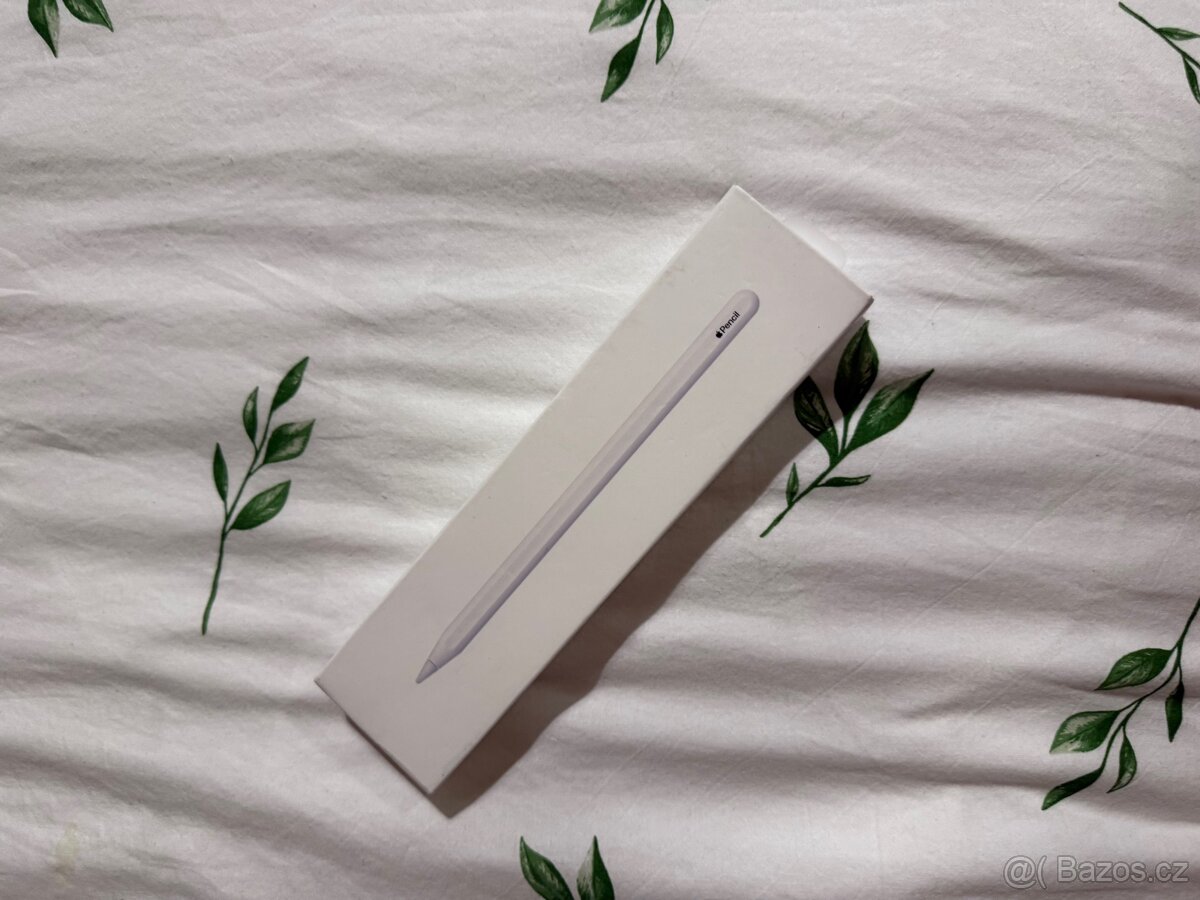 Apple pen 2.