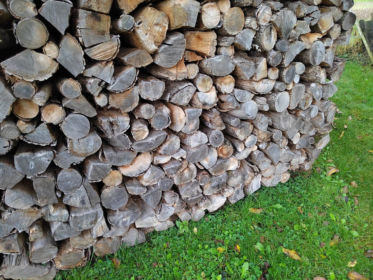 Tvrdé suché palivové dřevo.