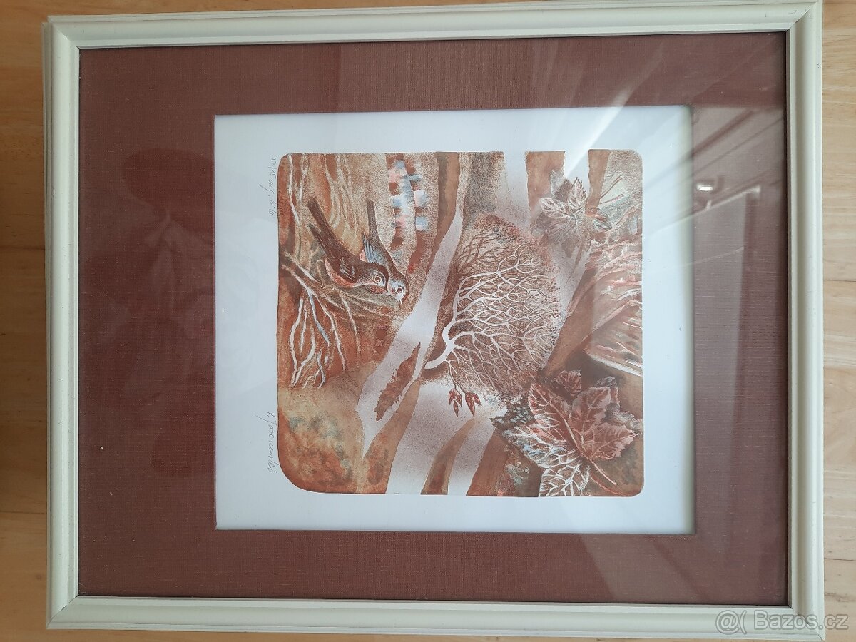 Obrazy Věry Tošenovské