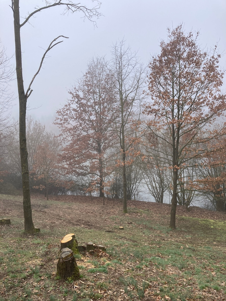 Různě velké pozemky u rybníka (zahrada), 495,-Kč/m2