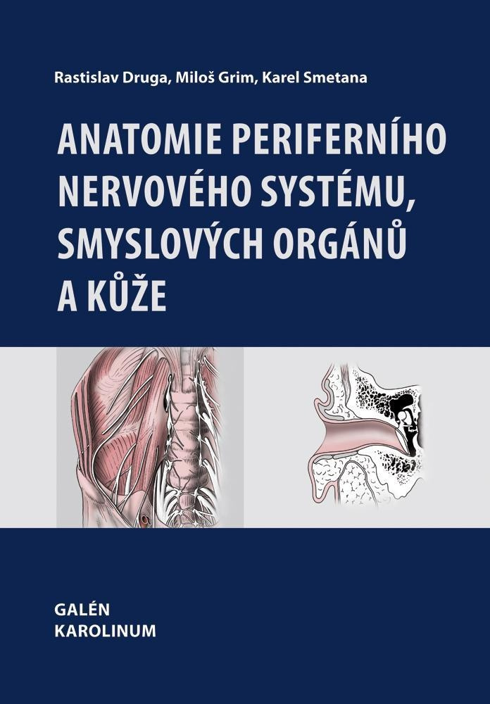 Anatomie periferního nervového systému smyslových orgánů a k