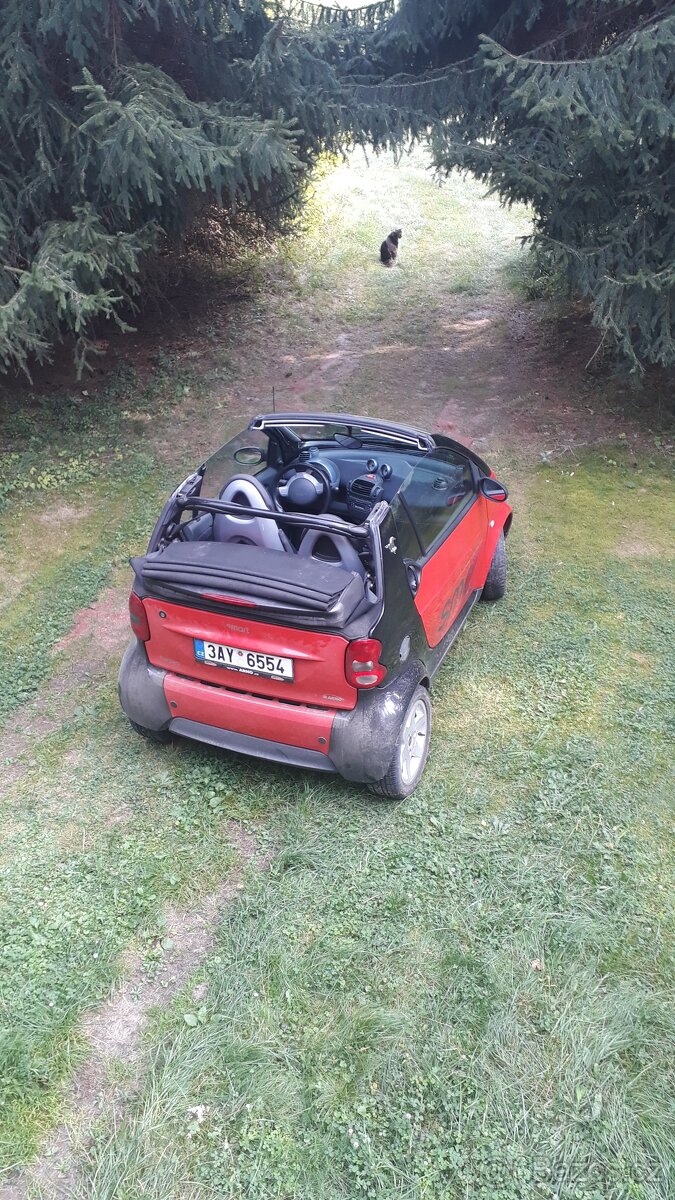 smart cabrio