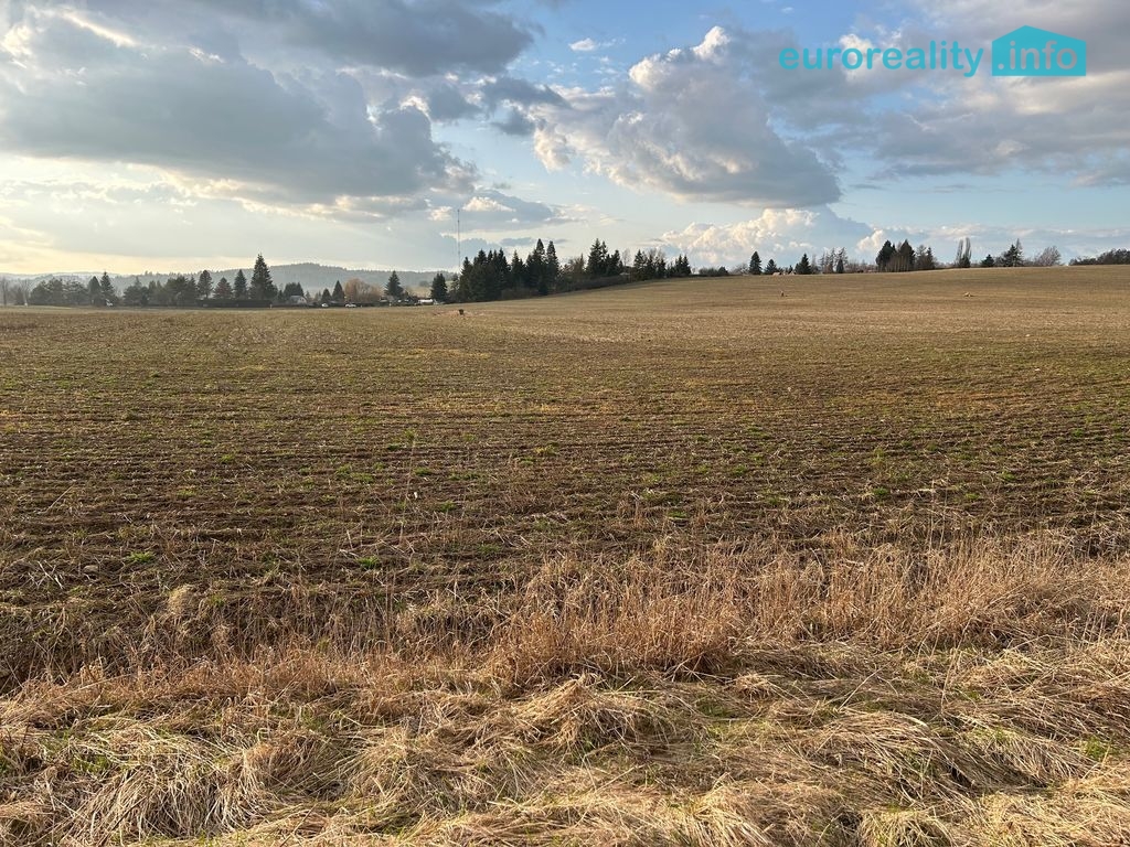 Prodej, pozemek, 10 000 m2, Tachov