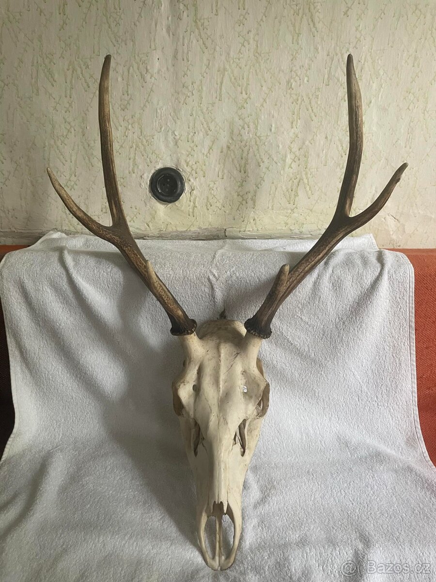 Velké Paroží 2