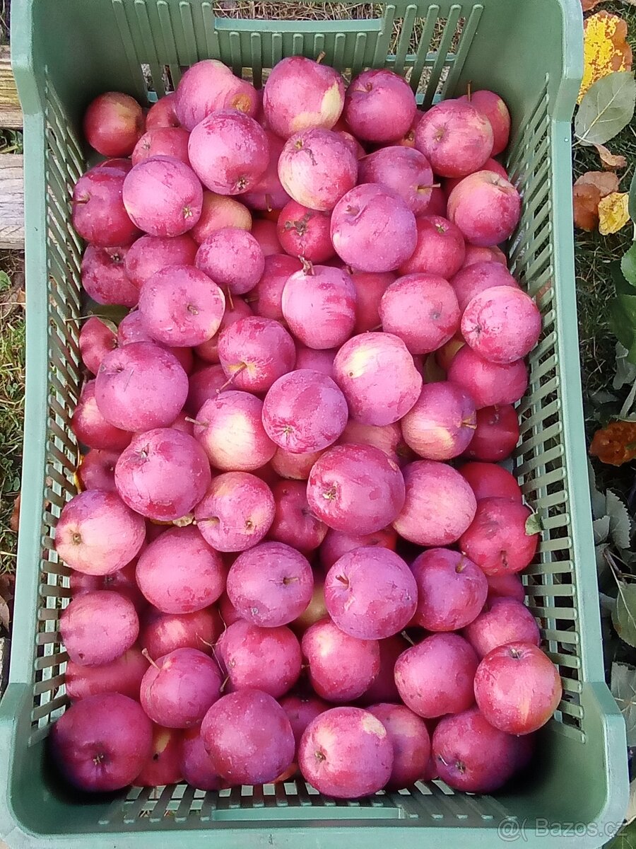 Jablka