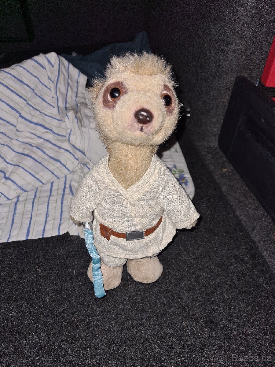Meerkat aleksandr jako star wars skywalker