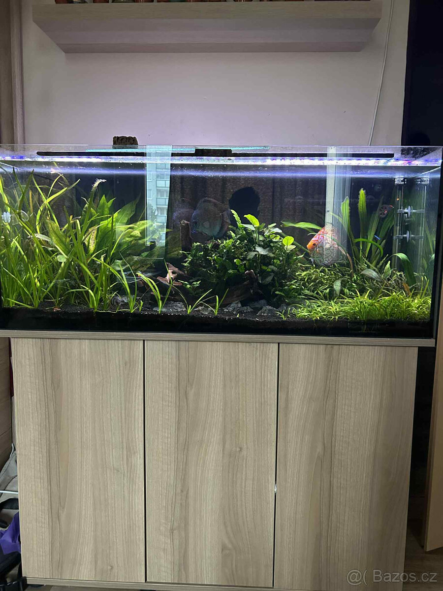 Akvárium 120x50x50 a komplet vybavení