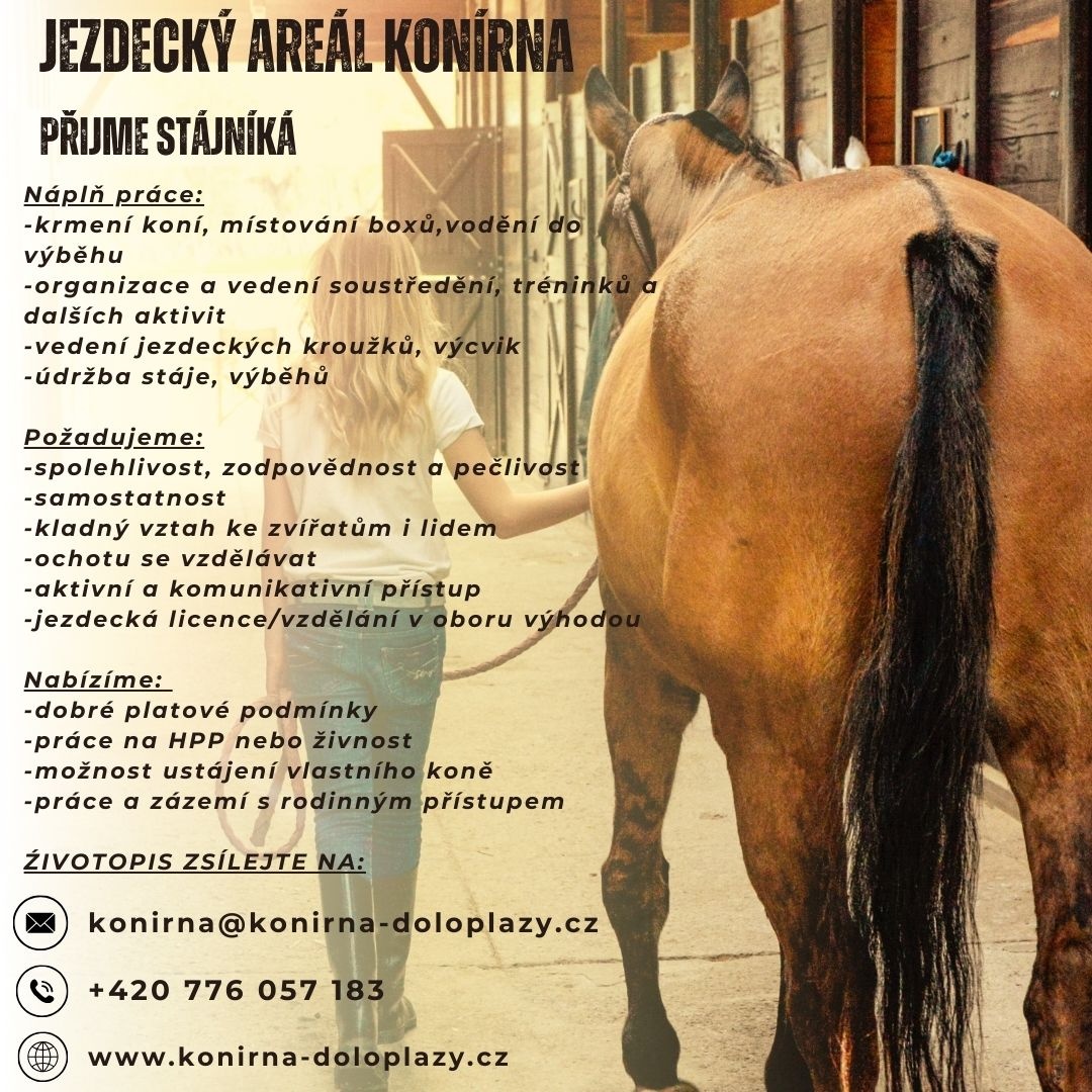 Nabídka práce stájník/ošetřovatel