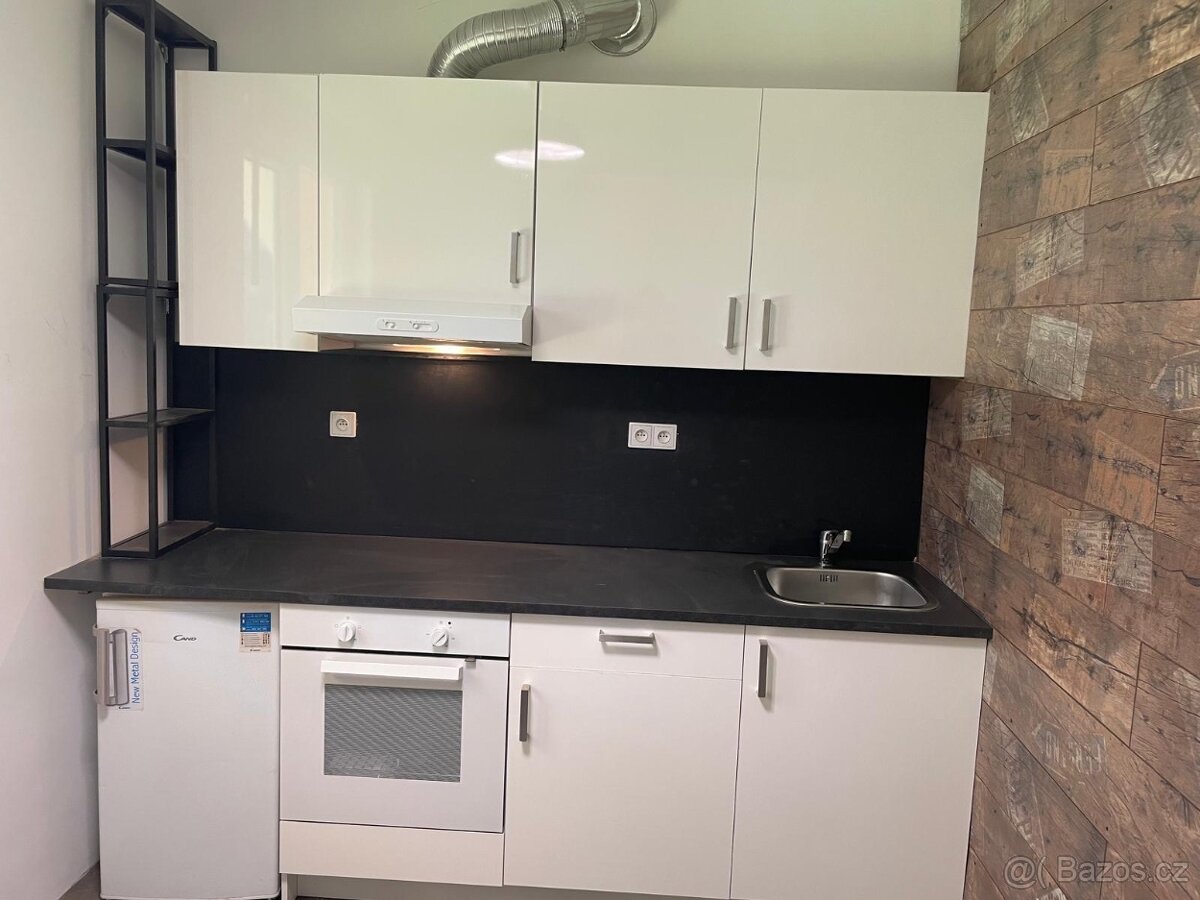 Pronájem 1+ 1 Třinec - Terasa