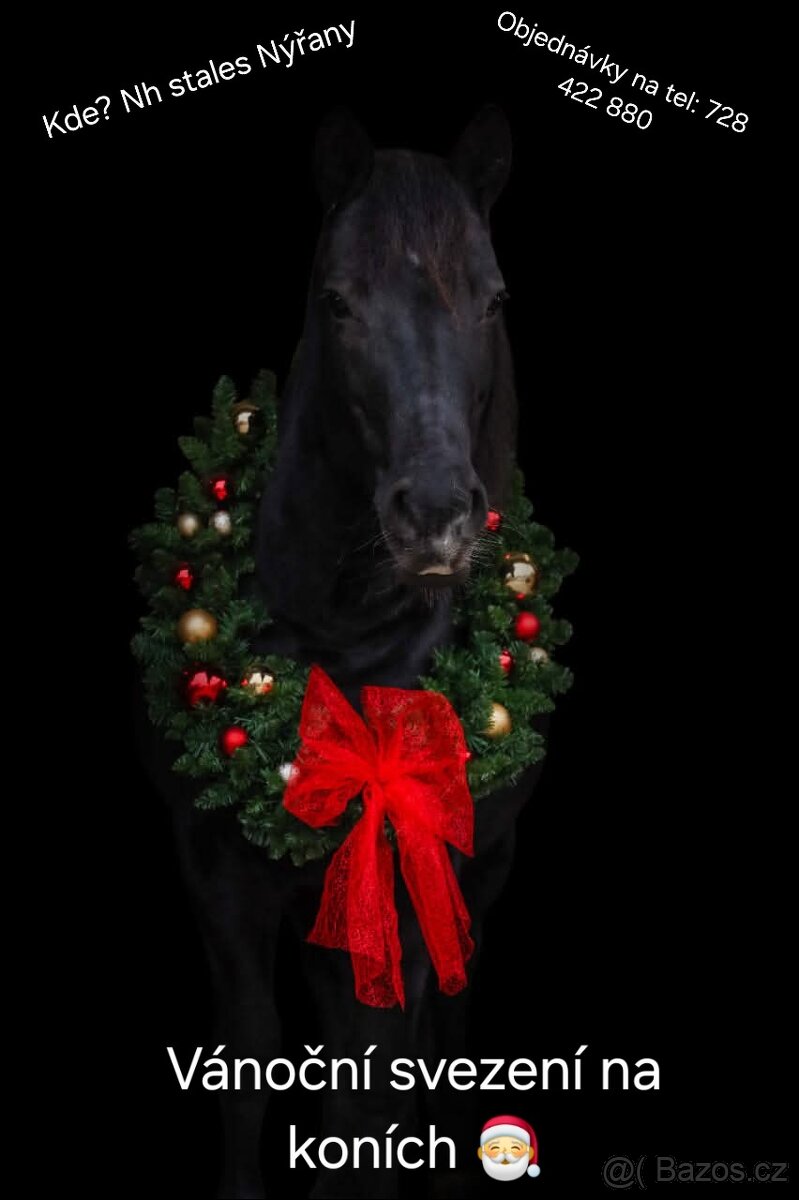 Prodáme více koní na sport/hobby/ZZVJ