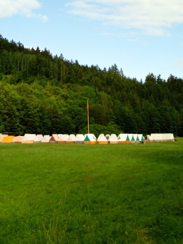 Hledáme pacht pozemku