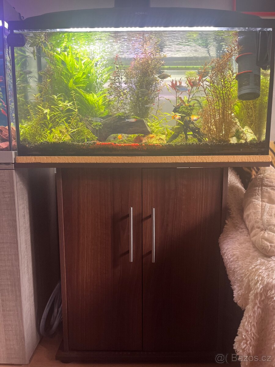 Akvárium včetně skříňky a filtru