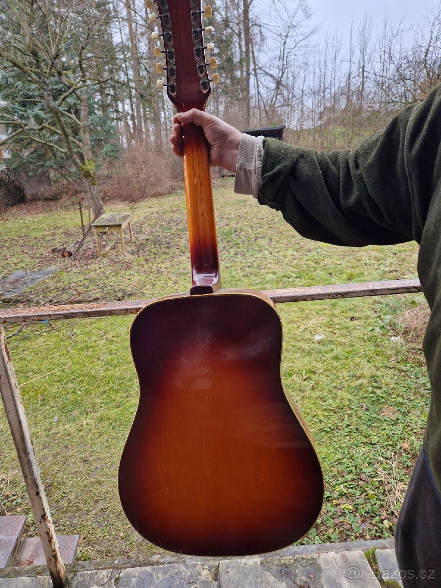 12 strunná kytara