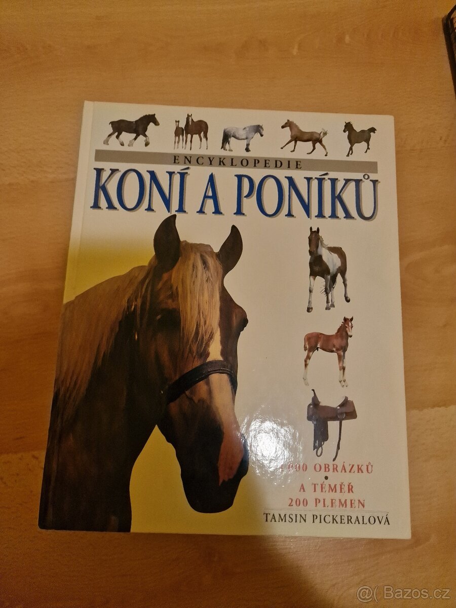 Literatura o Koních