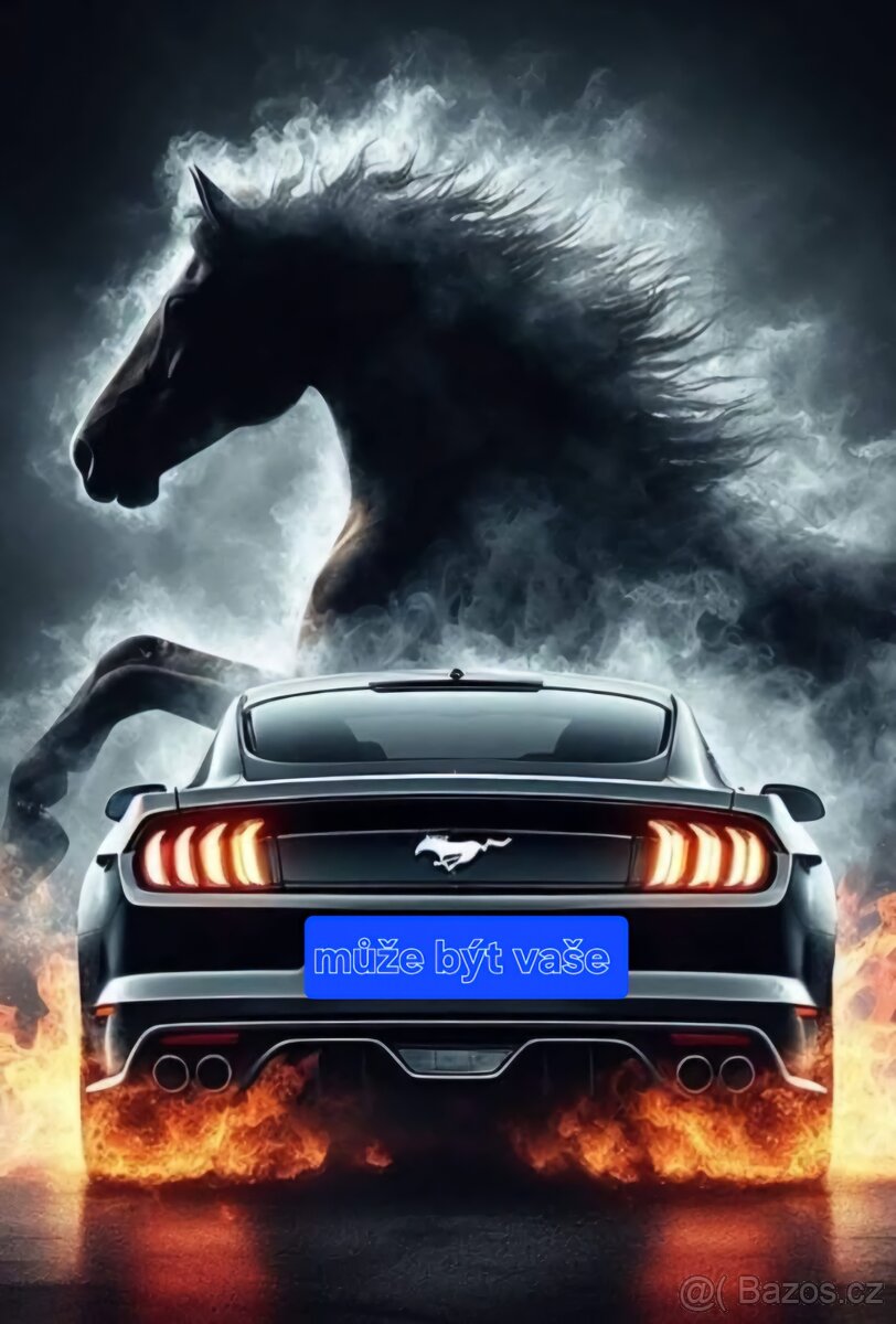 Ford mustang 3.7l