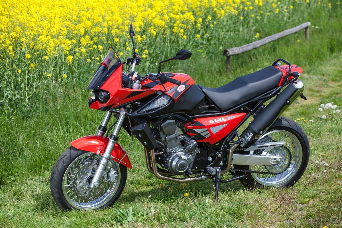 Koupím Jawa 660 sportard
