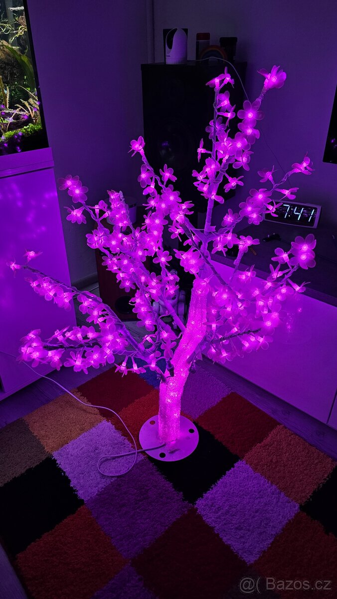 Svíticí sakura