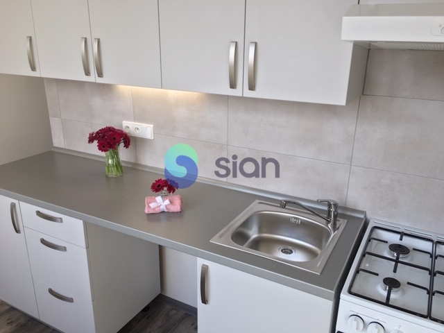 Podnájem bytu 2+1 53 m2, ul. Plzeňská 1123/5, Ostrava - Hrab