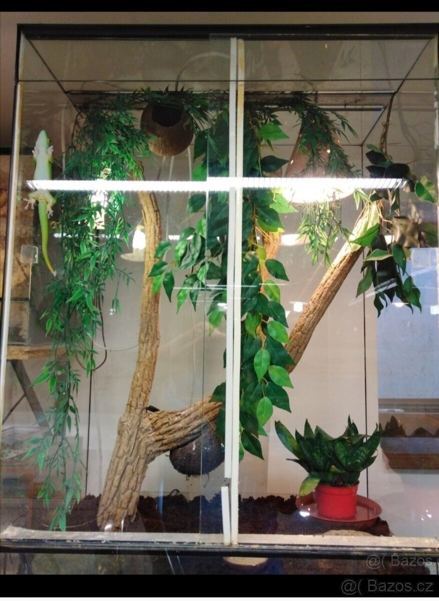 Terárium pro chameleona 40x40x80cm nepoužité,bez vybaveni, š
