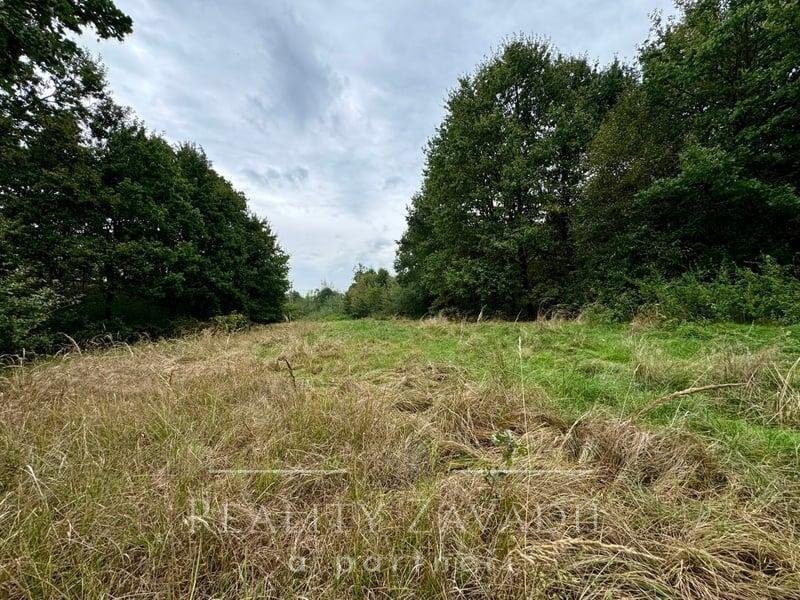 Prodej pozemky - trvalý travní porost, 3 072 m² - Karviná -